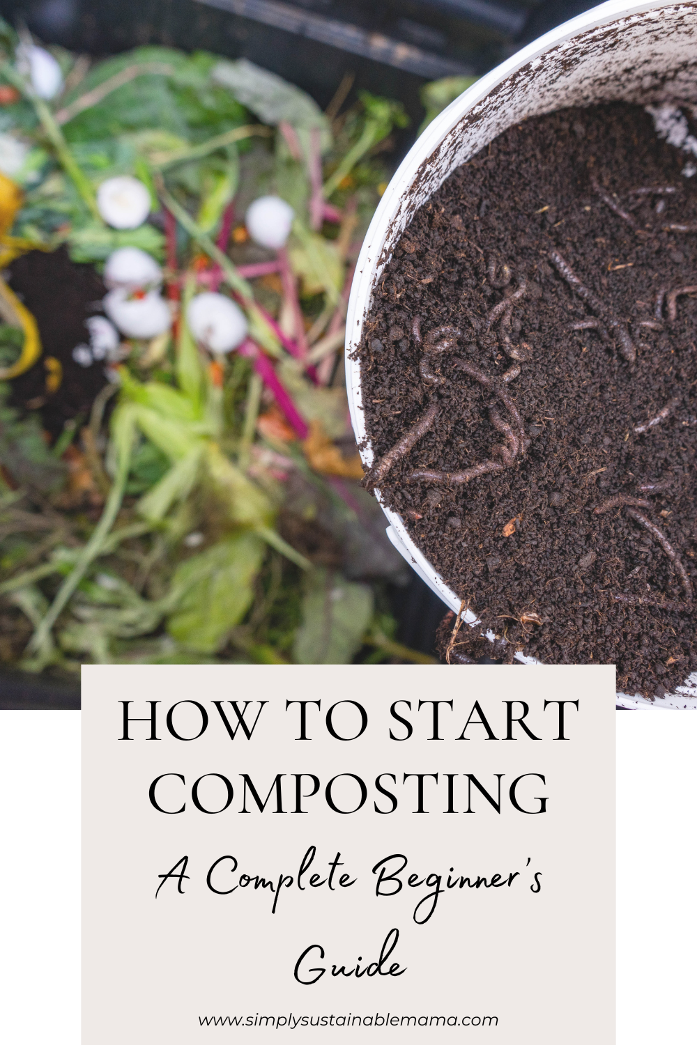 Image Description: "How to start Composting: A complete beginners guide on starting a compost bin, filled with fresh green matter and a bucket of nutrient-rich dirt and wriggling worms.