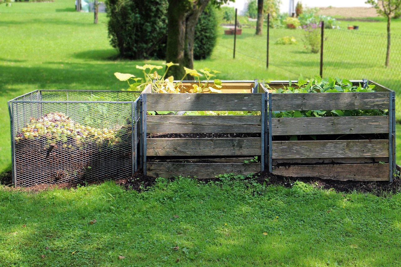 Three-section outdoor compost bin made of wood and wire, filled with decomposing organic matter and thriving green plants, set in a sunny backyard garden.