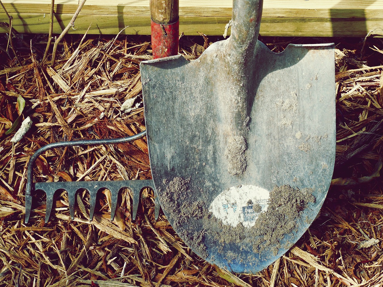 A well-used shovel and garden rake resting on a bed of mulch, representing hands-on homesteading tools and skills.