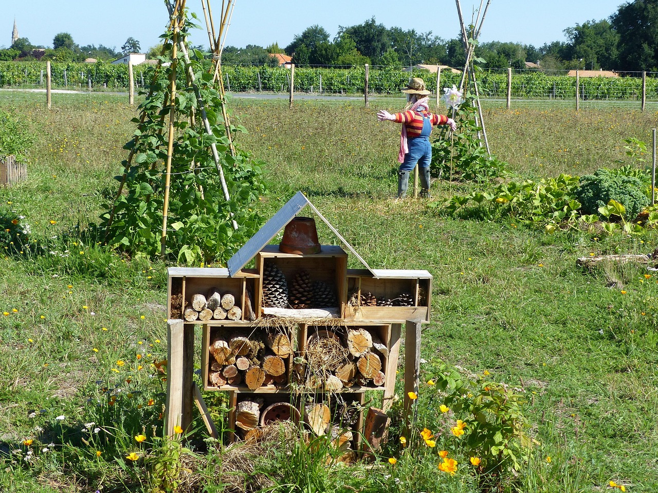 A vibrant permaculture garden featuring a bug hotel, companion planting with climbing beans, diverse crops, wildflowers, and a scarecrow under a sunny sky.