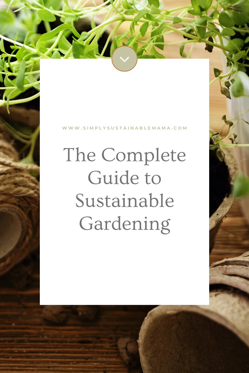 Image Description: "The Complete Guide to Sustainable Gardening" cover photo, featuring an array of seedlings being carefully potted in the background. This image encapsulates the essence of sustainable gardening, promoting environmentally friendly practices and nurturing plant growth for a greener future.