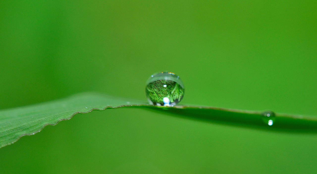 Close-up of a water droplet resting on a blade of grass, symbolizing precision and conservation in drip irrigation.