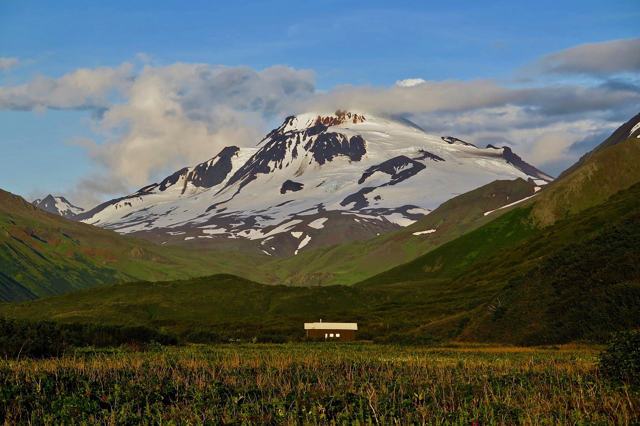 Remote homestead cabin nestled in the Alaskan wilderness with a snow-capped mountain in the background.